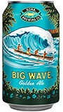 Kona Big Wave 18 PK Cans